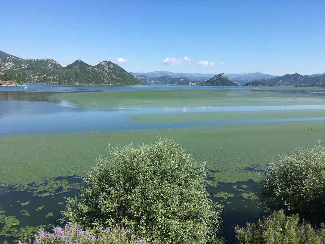 Bar Belgrade Lake Skadar Bar Belgrade Lake Skadar