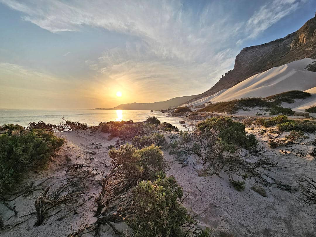 arher beach sunrise Sunset over sandy beach with dunes and vegetation