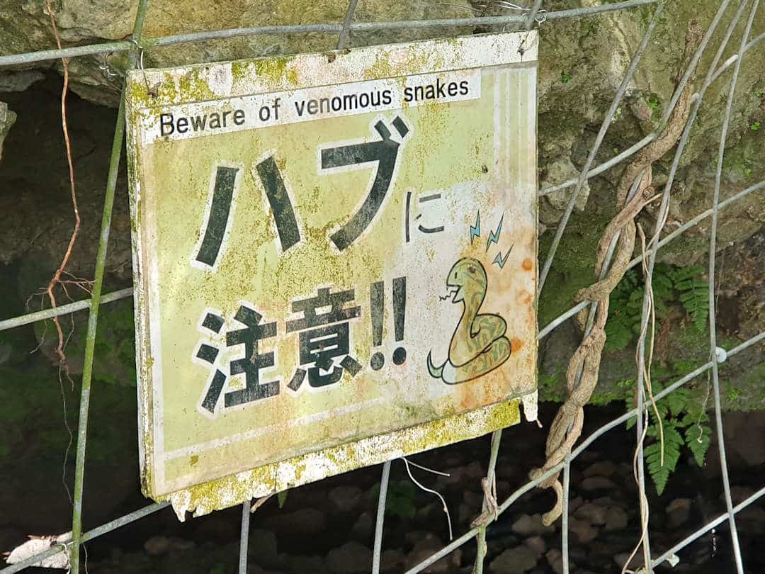 Beware of snakes sign in Naha Beware of snakes sign in Naha