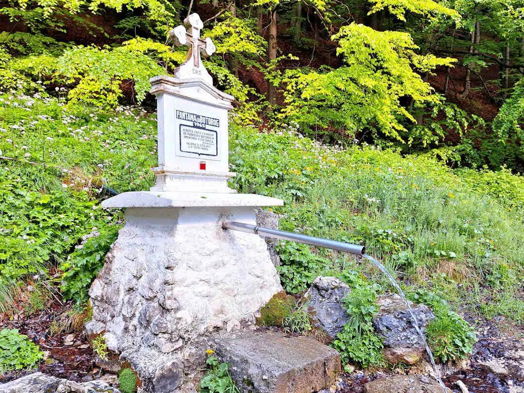 botorog fountain Botorog Fountain Natural Spring Flowing from a Stone Monument near Zărnești Gorge Trailhead