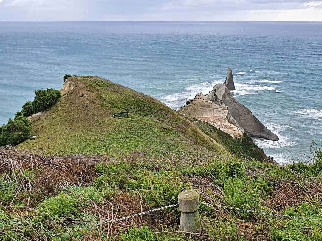 Grassy coastal cliff overlooking ocean and rock spire