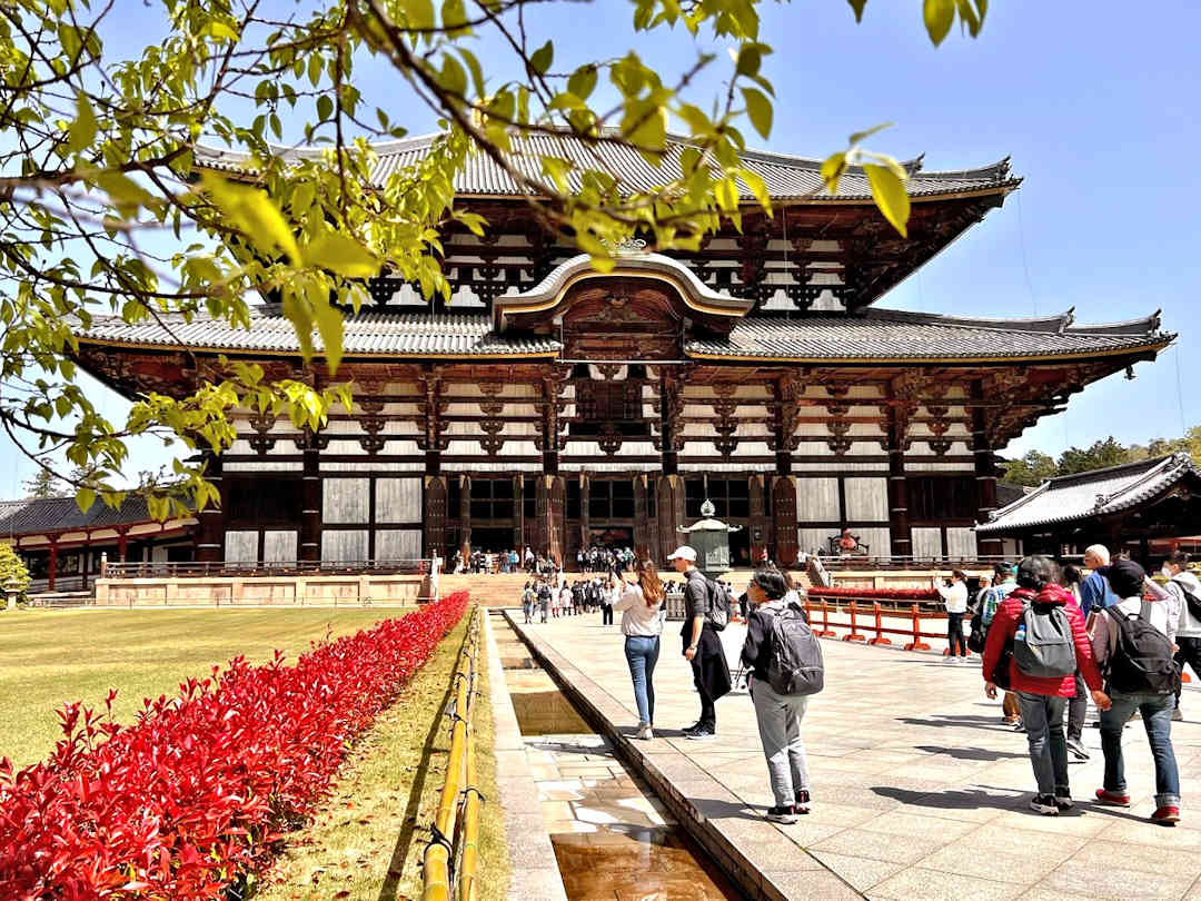 daibutsuden in nara by jennie ryken