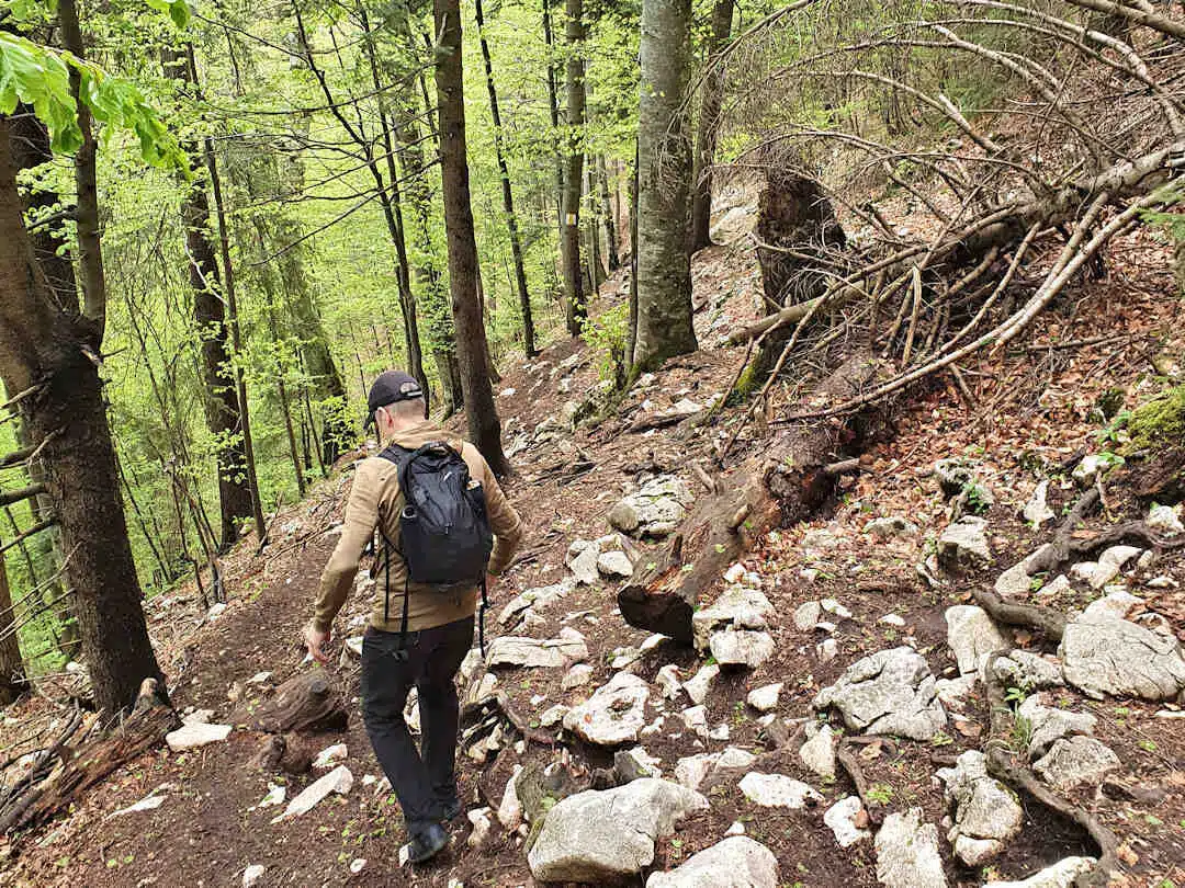descending trail at piatra craiului np Hiker Walking Down a Rocky Forest Trail in Piatra Craiului National Park