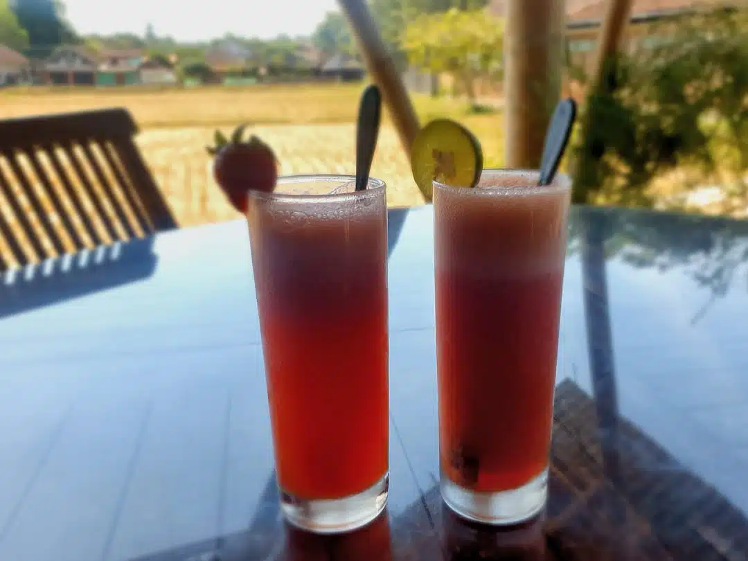 Drinks at Alea Guesthouse Café Borobudur drinks at alea guesthouse café borobudur