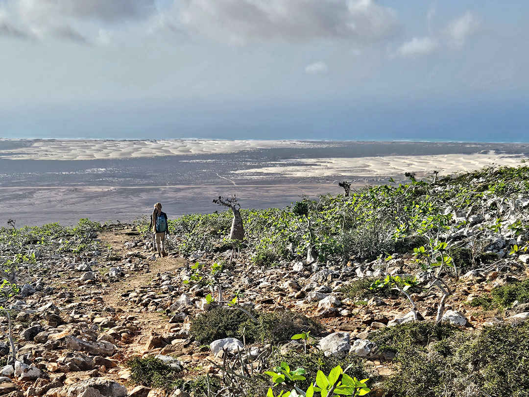 hayf and zahaq sand dunes Person hiking rocky trail with ocean view