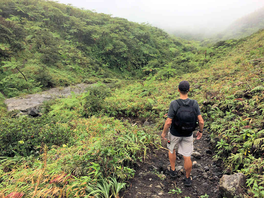 Heading down the trail on our trail to La Soufriere Heading down the trail on our trail to La Soufriere
