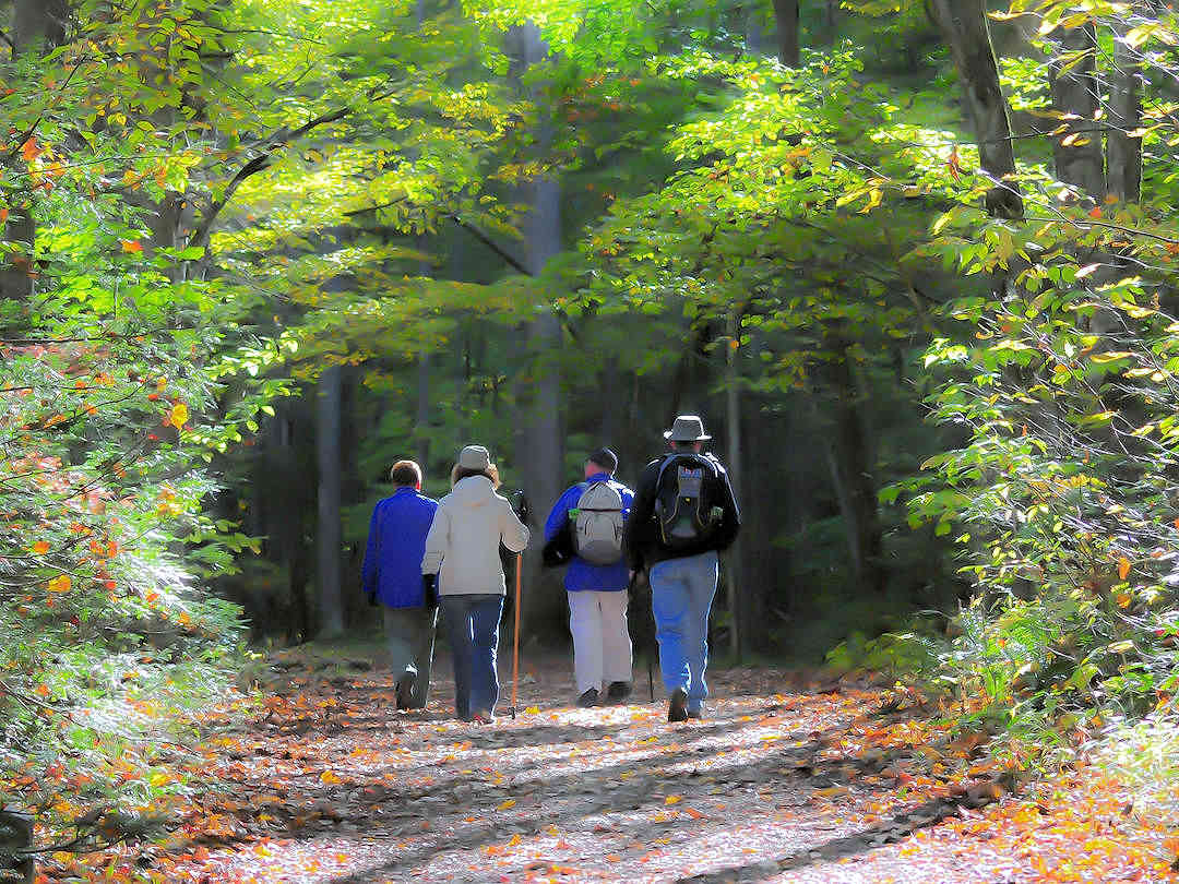 hikers by mickey estes on pixabay hikers by mickey estes on pixabay