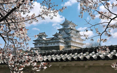 One Day in Himeji: The Perfect Itinerary for First-Timers