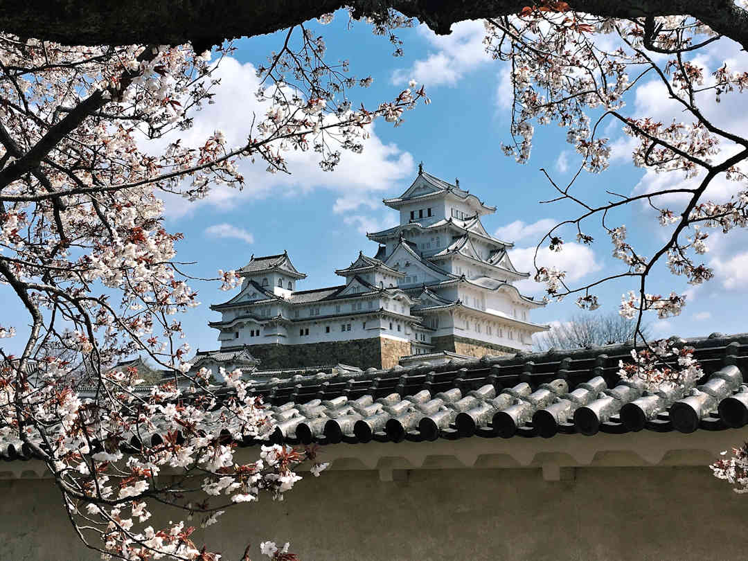 Himeji Castle by Dino Johannes on Unsplash