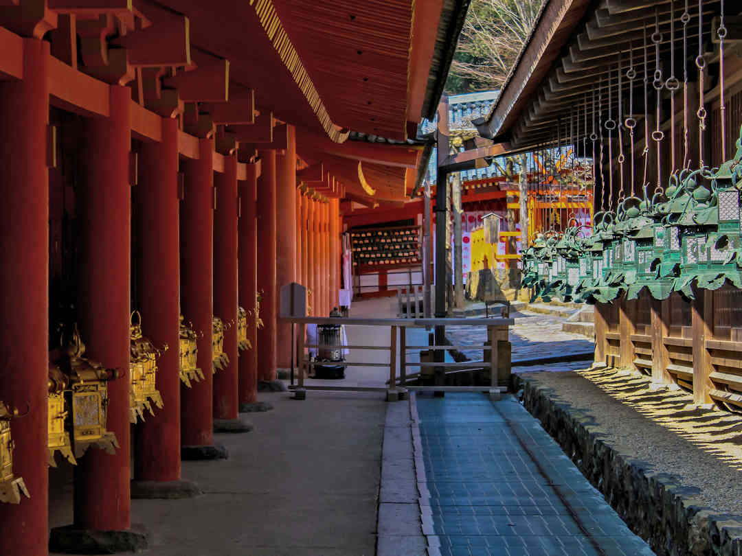 Kasuga-taisha in Nara by Patricia Haller Anguela on Unsplash