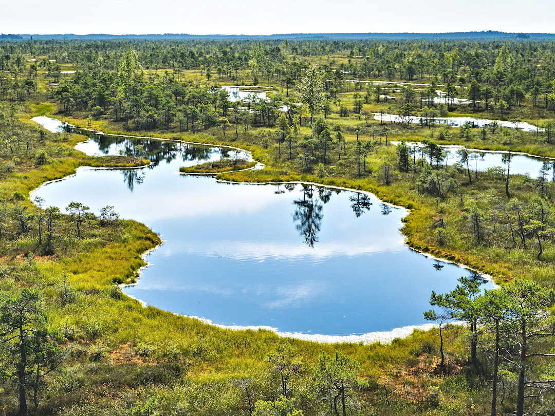 Kemeri National Park by MrDucktail on Pixabay View of peat bog landscapes in Kemeri National Park