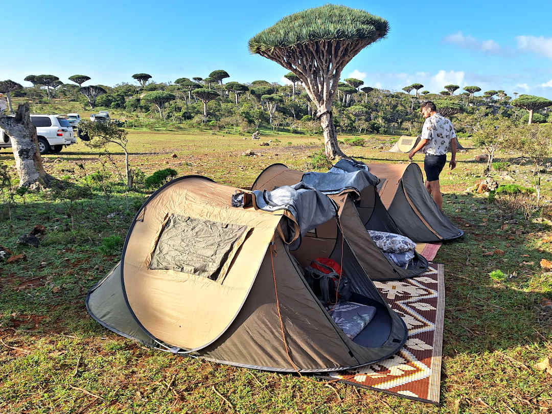 Exploring Socotra: How to find the best tour for your needs