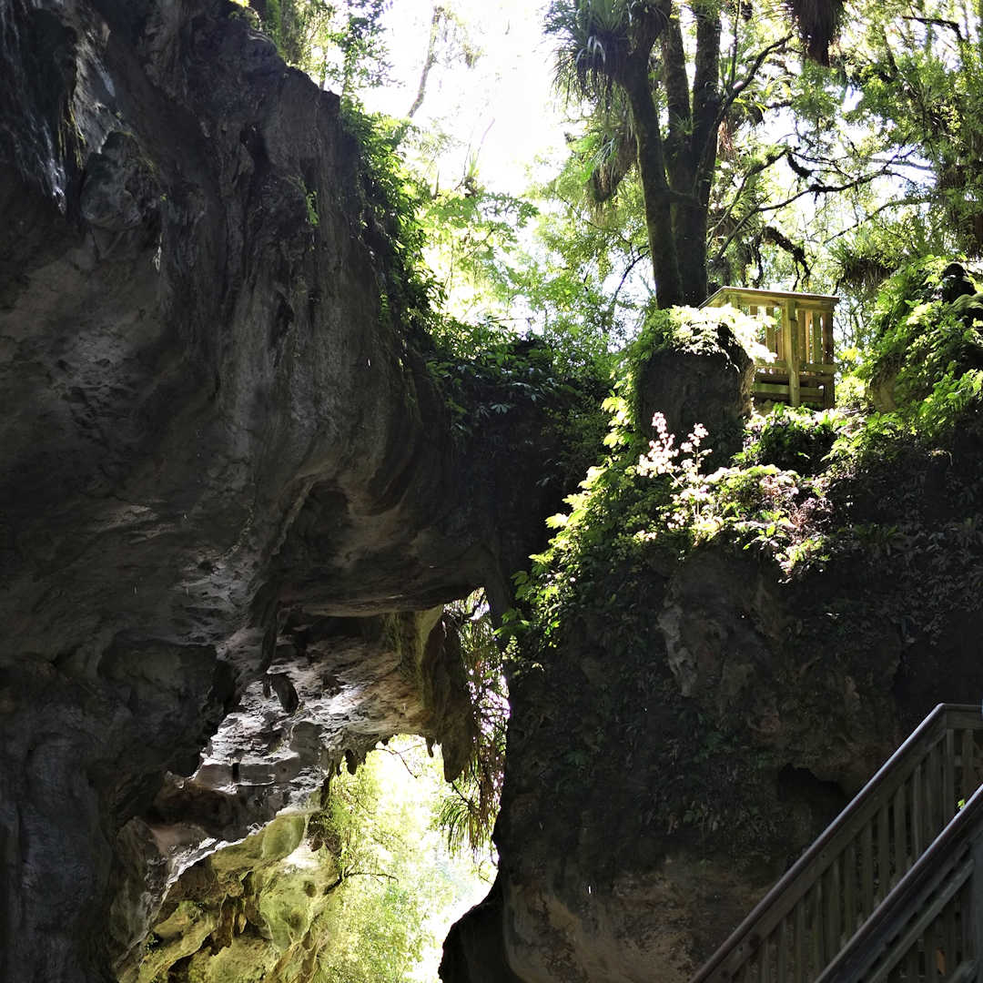 Mangapohue Natural Bridge with forest, rock arch, and walkway