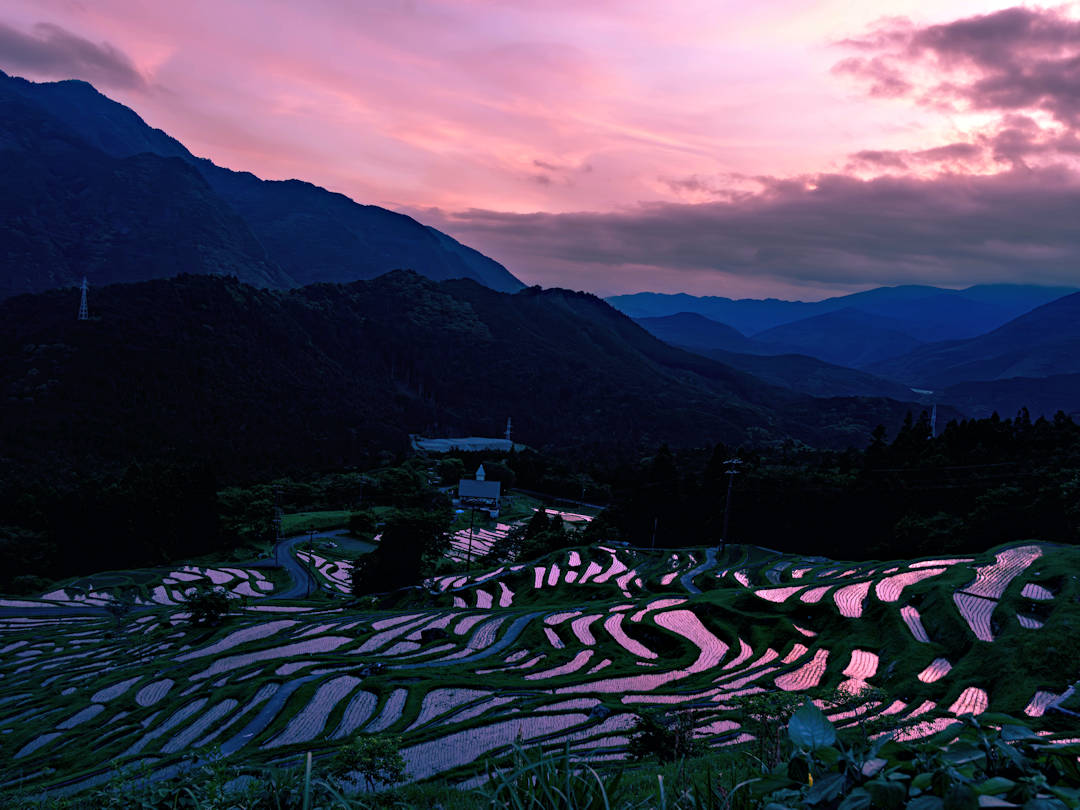 Maruyama Senmaida rice terraces | Photo by Soichiro Ito on Unsplash