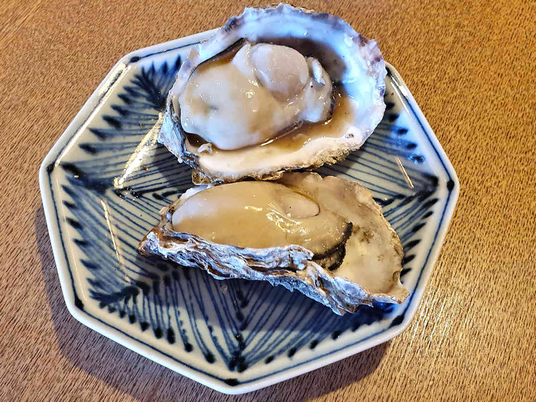 oysters at mikotoya