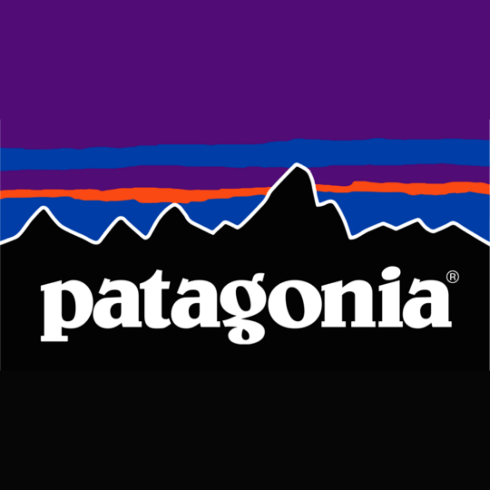 Patagonia Men's Wavefarer Boardshorts