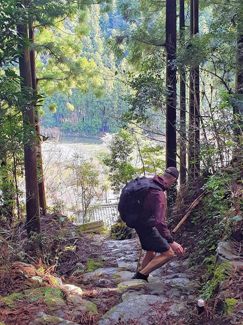 path into koguchi path into koguchi