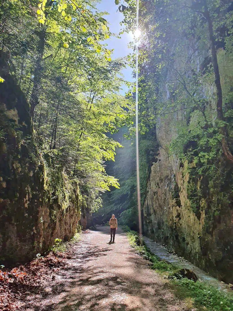 paul walking through zărnești gorge Hiker Walking Along a Sunlit Path Between Limestone Cliffs in Zărnești Gorge, Romania