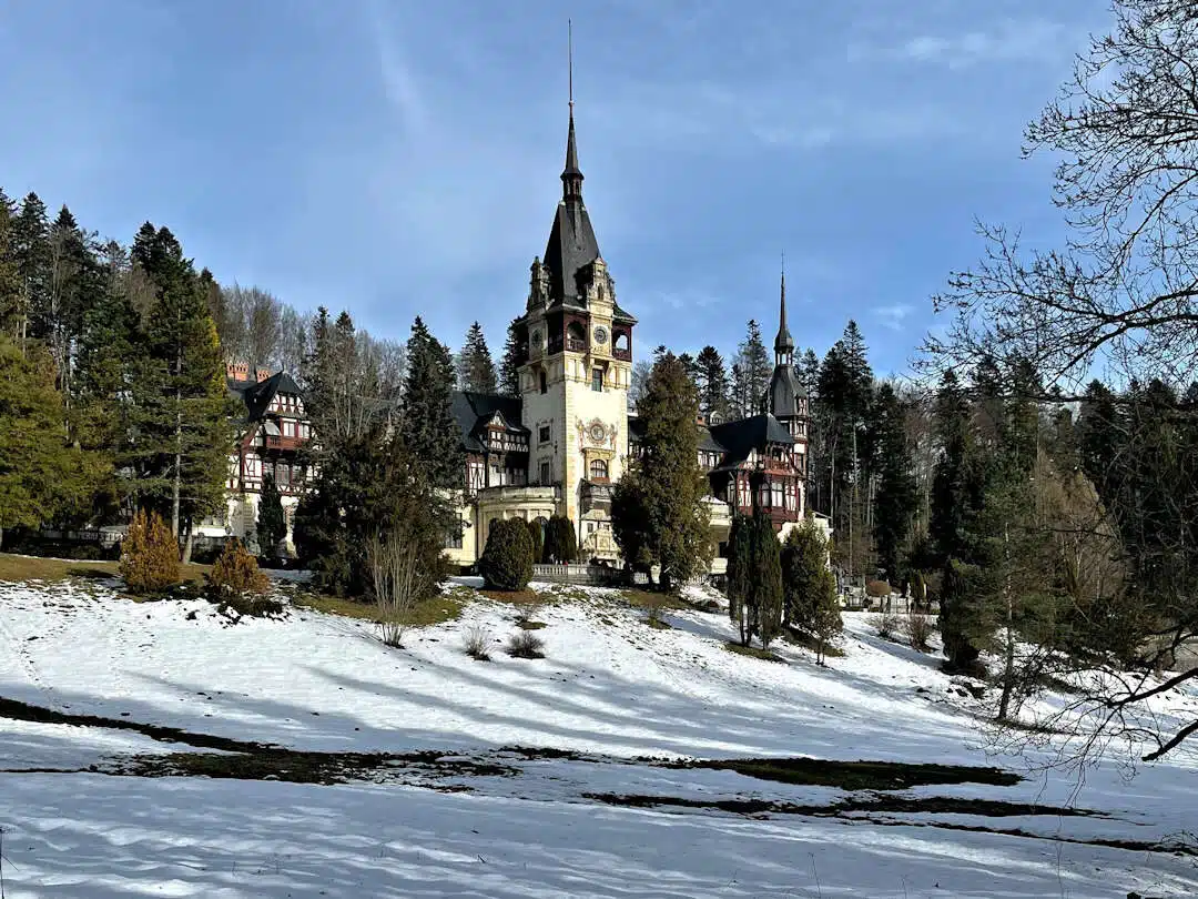 Peleș Castle in Winter Surrounded by Snow and Evergreen Trees