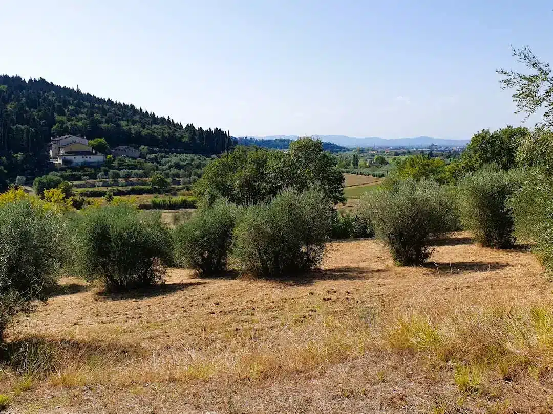 Experience the true essence of Tuscany with an Impact Stay at Podere Montisi
