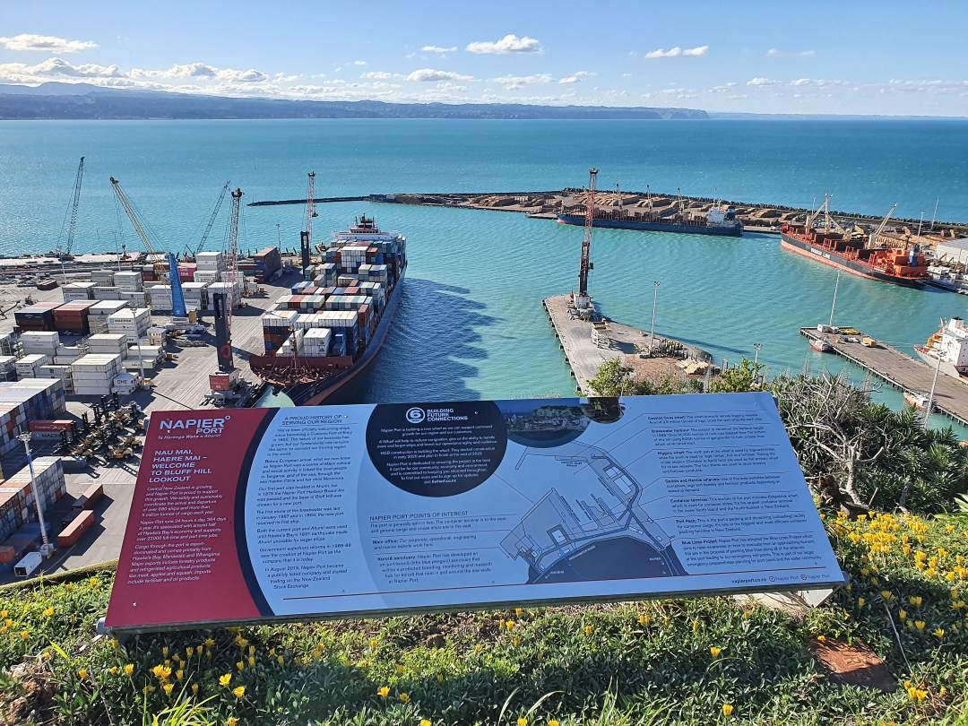 Napier Port with container ship and cranes