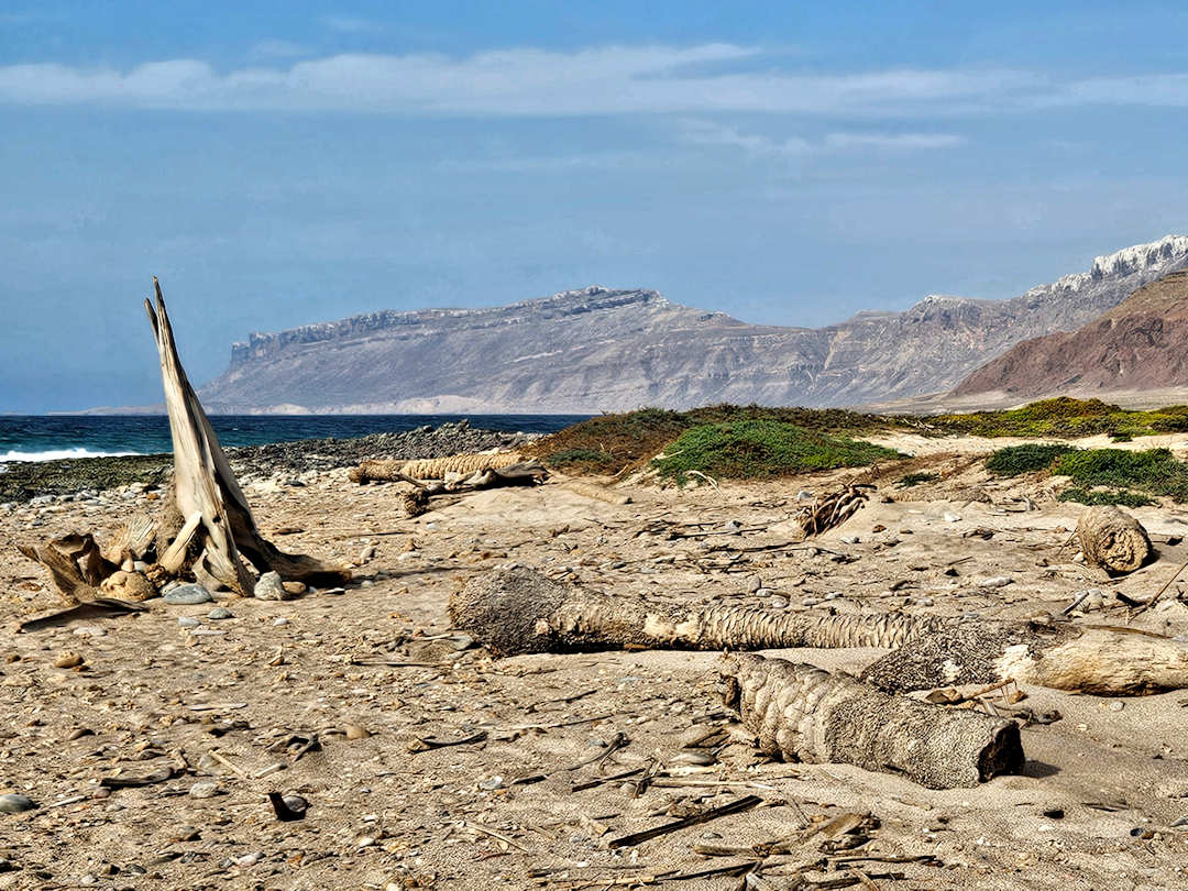 raas erisel Rocky beach with driftwood and distant cliffs