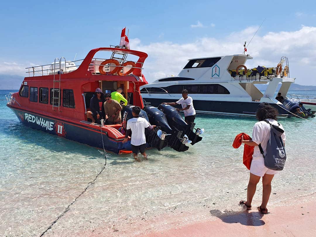 Red Whale Review: What it’s like on a day trip around Komodo National Park