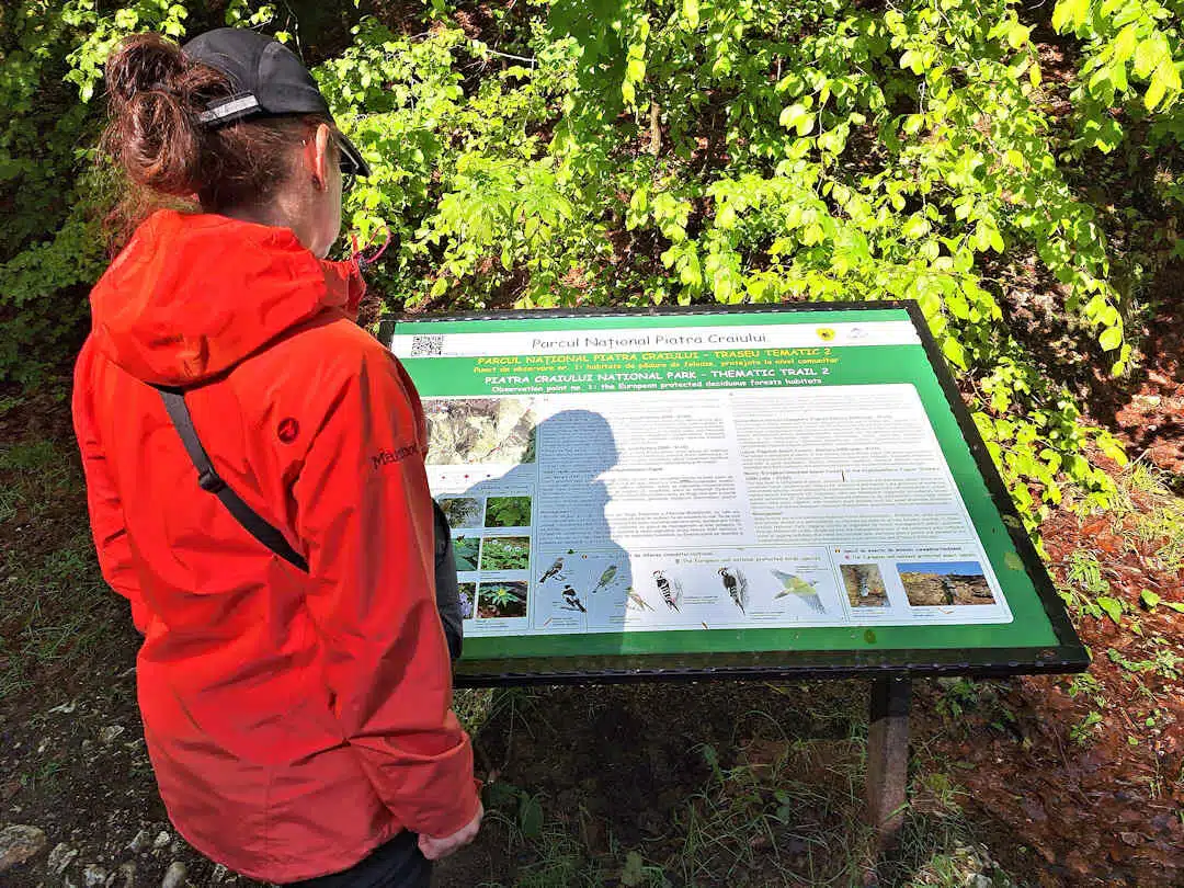 sandra at piatra craiului np information board Hiker in Red Jacket Reading a Nature Information Panel on Thematic Trail 2 in Piatra Craiului
