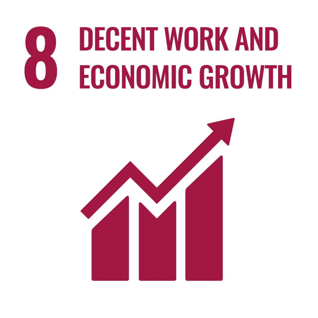 sdg icons inverted transparent web 08