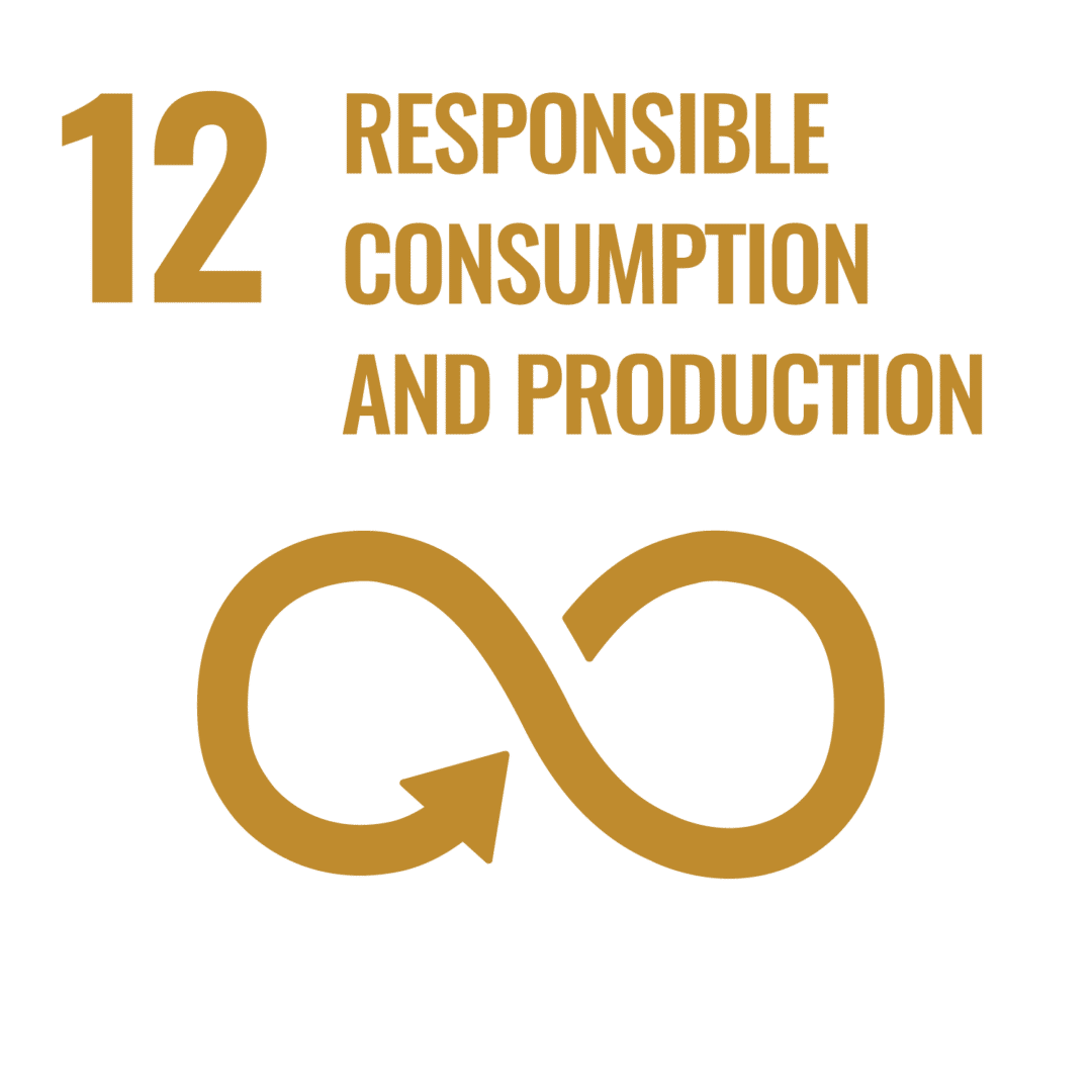 sdg icons inverted transparent web 12