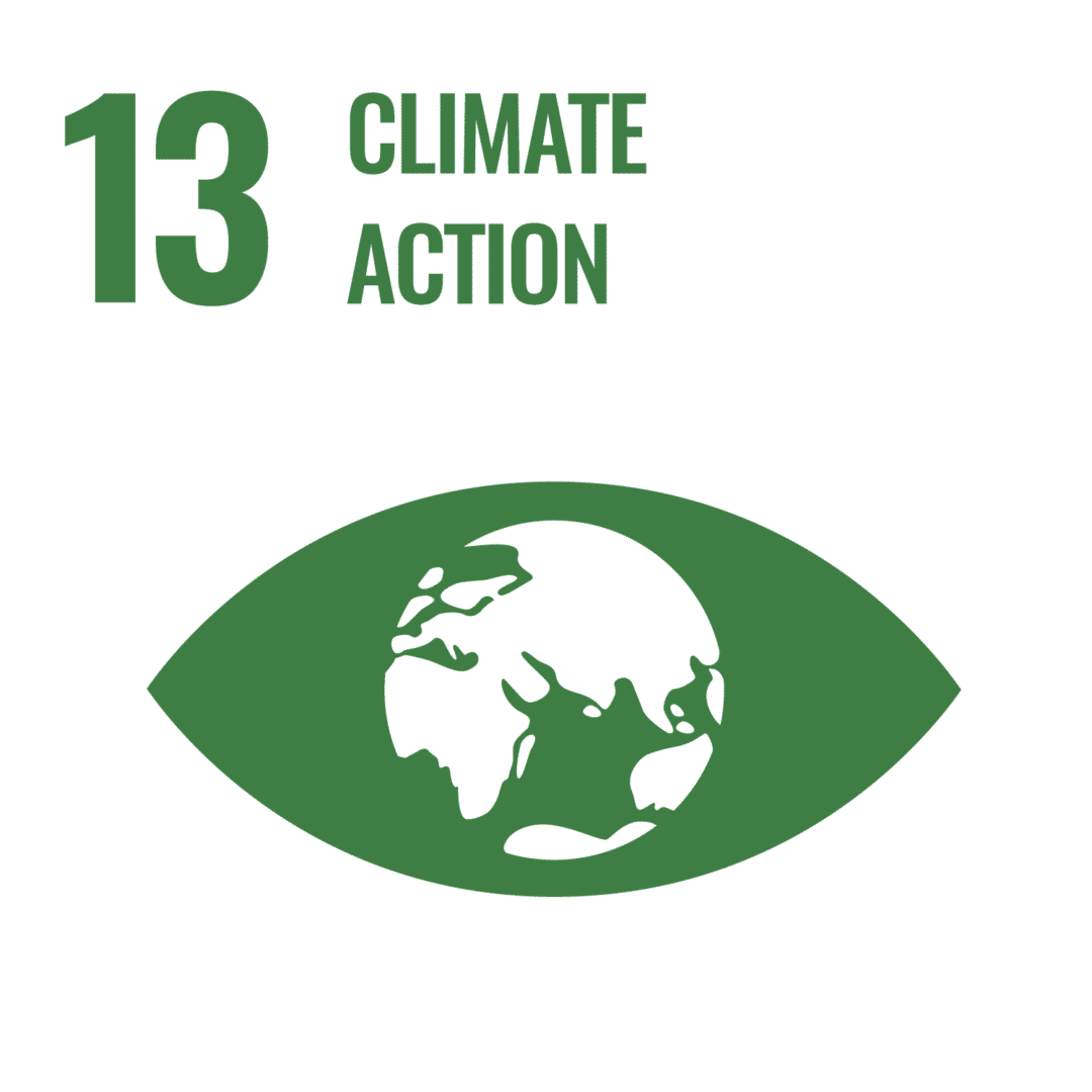 sdg icons inverted transparent web 13