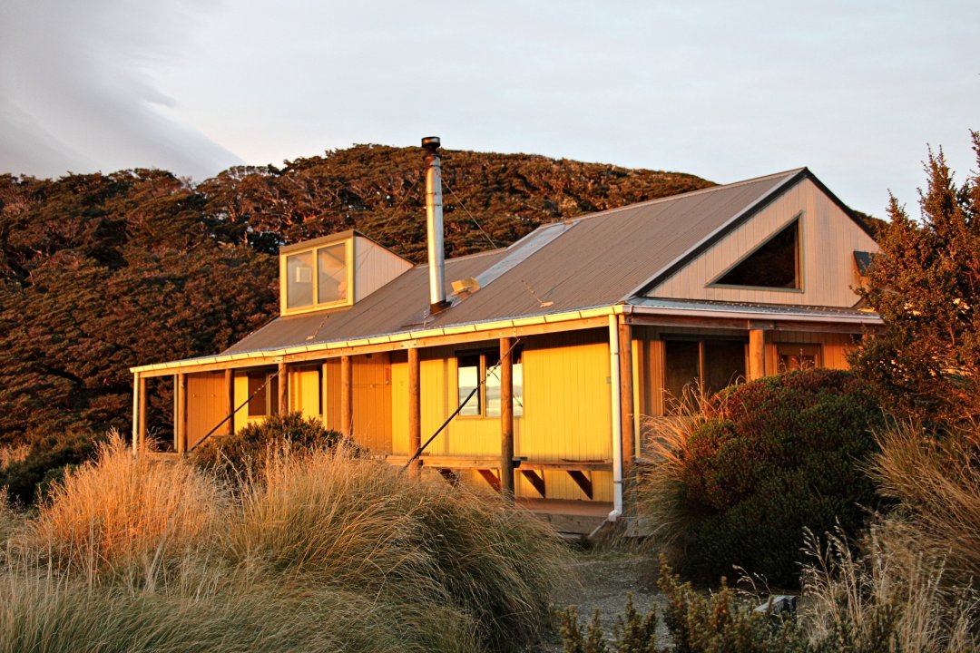 Sunlit wooden cabin with metal roof and porch