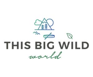 This Big Wild World logo