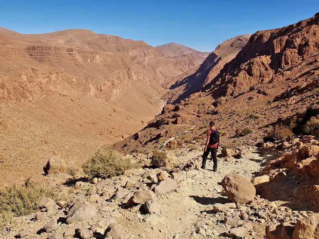 Todgha Gorge Loop Hike Person hiking in rocky desert canyon