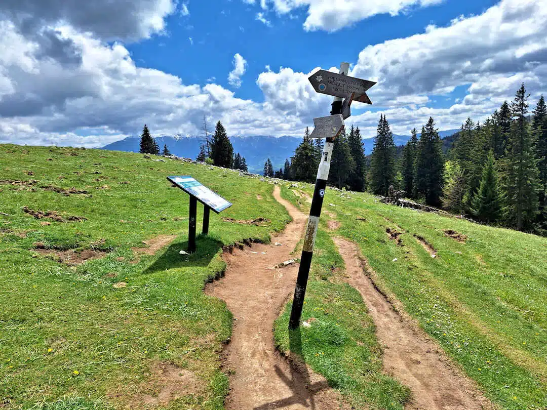 Trail Marker and Information Board at Alpine Meadow in Piatra Craiului Mountain Trail Signpost and Info Board at a Grassy Alpine Meadow in Piatra Craiului National Park