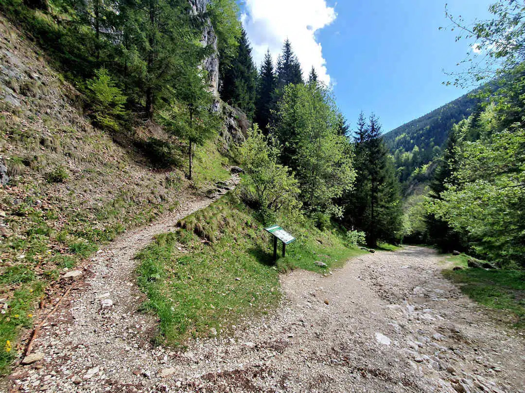 trails at piatra craiului np Fork in the Hiking Trail with Information Signage in Forested Mountains of Piatra Craiului