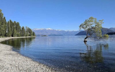 New Zealand Highlights: What to see and do on the South Island
