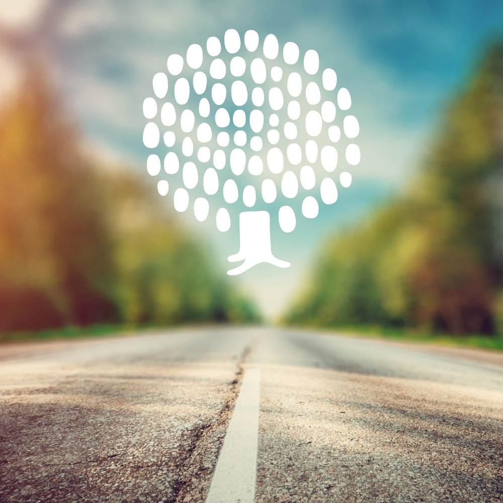 Trustroots hospitality exchange platform connecting travellers with local hosts worldwide through a community built on trust, cultural exchange, and meaningful travel experiences.