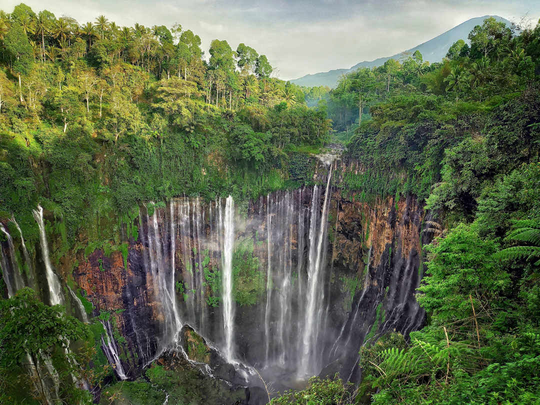 tumpak sewu waterfall wikimedia commons