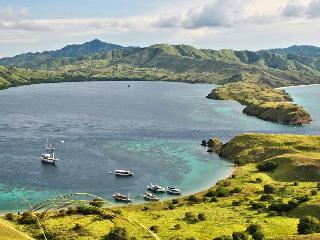 views from padar island by denissa devy on unsplash