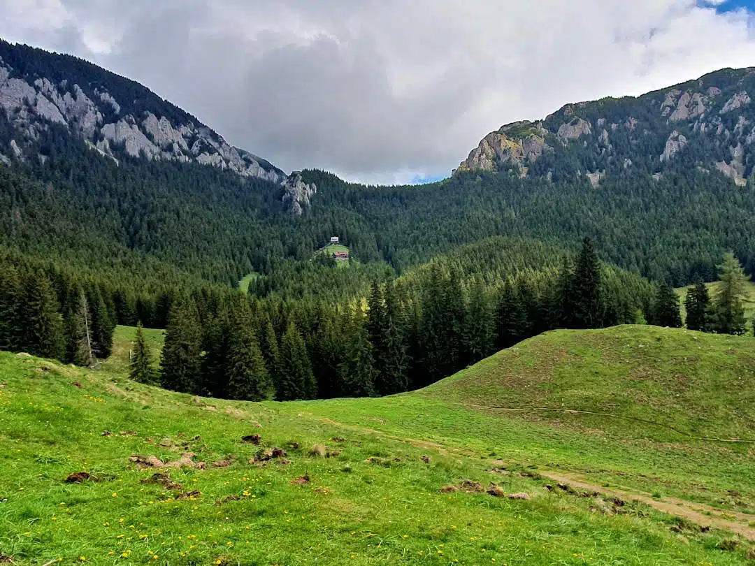 views of cabana curmătura Mountain Cabin Surrounded by Dense Pine Forest and Rocky Cliffs in Piatra Craiului National Park