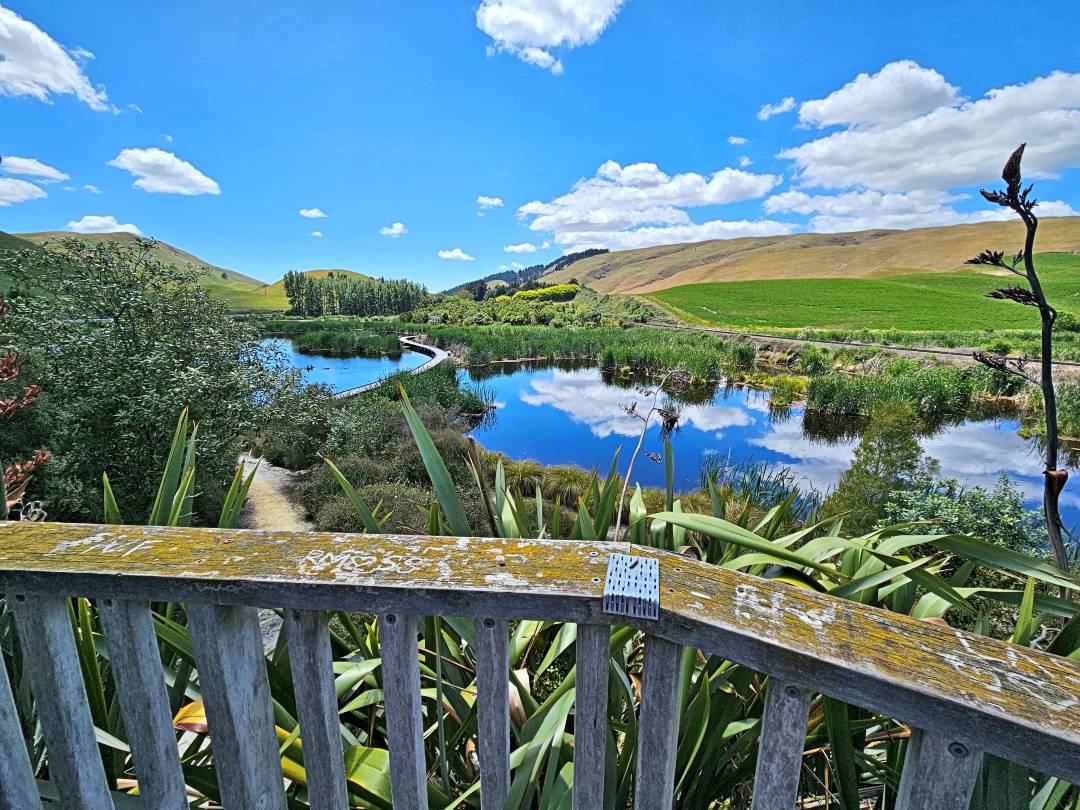 River reflecting clouds beside green rolling hills
