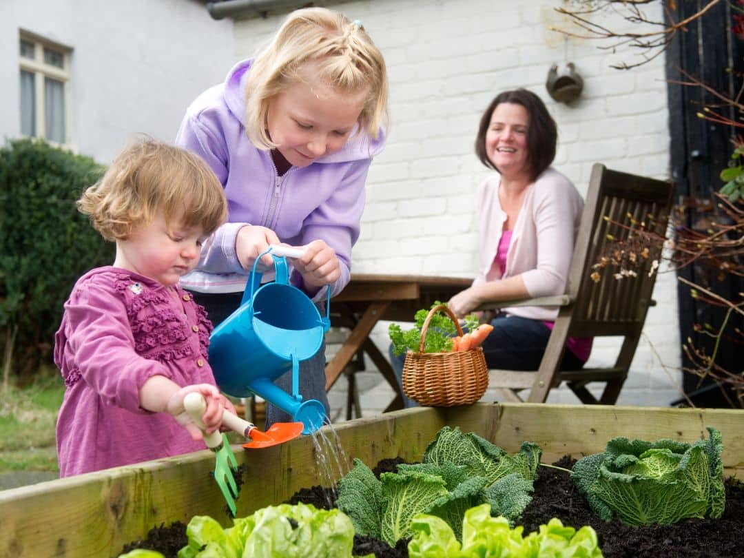 watering vegetables
